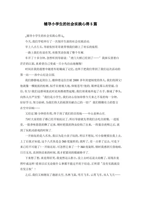 辅导小学生的社会实践心得5篇