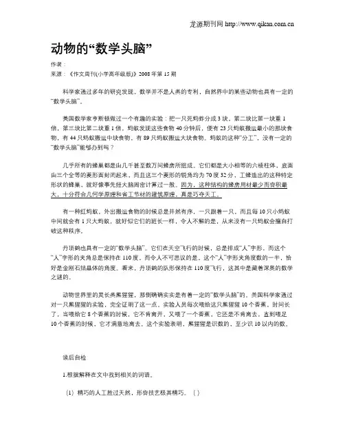 动物的“数学头脑”