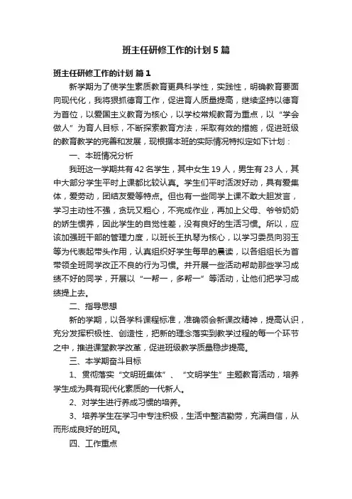 班主任研修工作的计划5篇