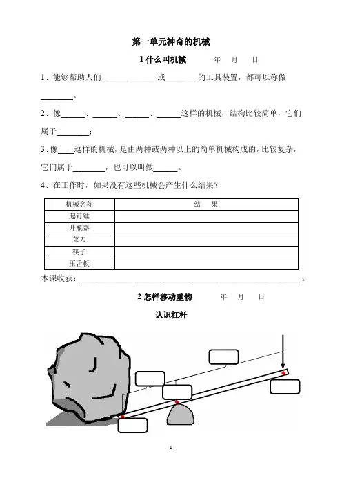 苏教版五年级科学下册导学案