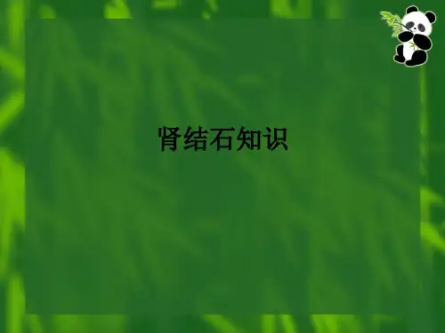 肾结石知识ppt课件