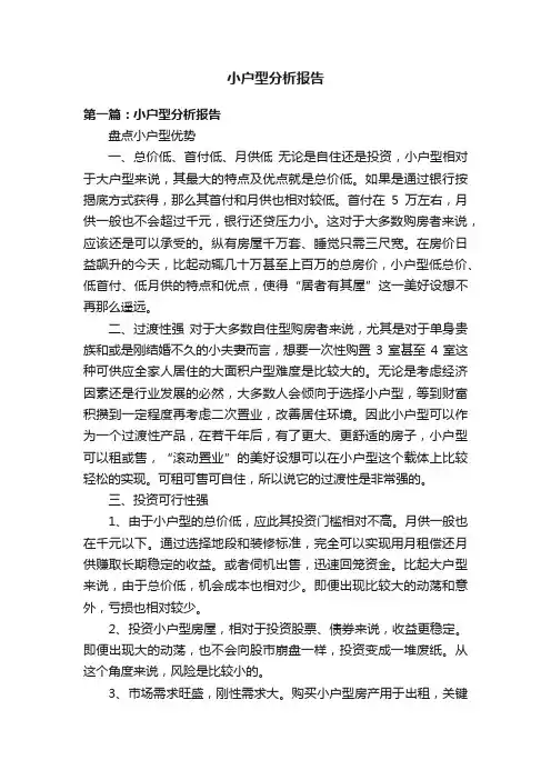 小户型分析报告