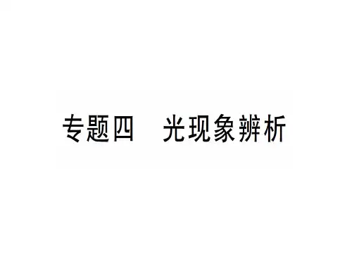 第四章 专题四 光现象辨析—2020年秋沪科版八年级上册物理课件