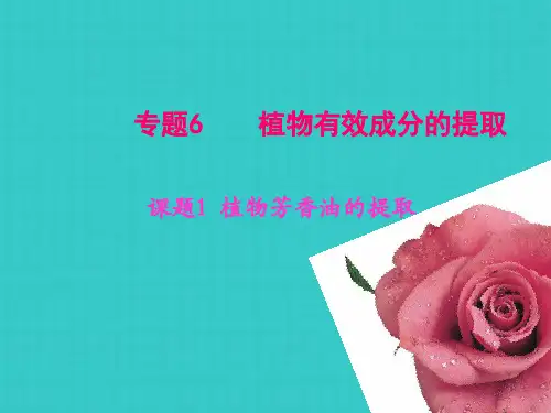 课题植物芳香油的提取