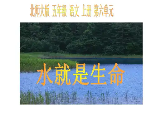 北师大版五年级语文上册《水就是生命》优质课ppt课件   大赛获奖精美课件PPT