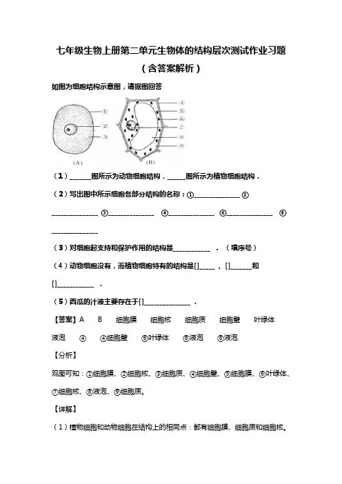 七年级生物上册第二单元生物体的结构层次测试作业习题(含答案解析)(163)