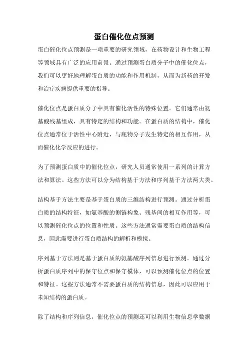蛋白催化位点预测