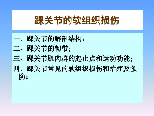 体育学院《踝关节》课件