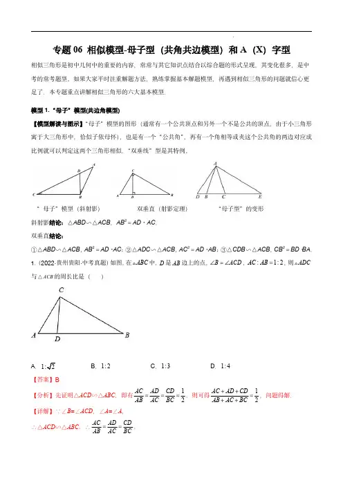 2023年中考数学常见几何模型(全国通用版)：相似模型(解析版)