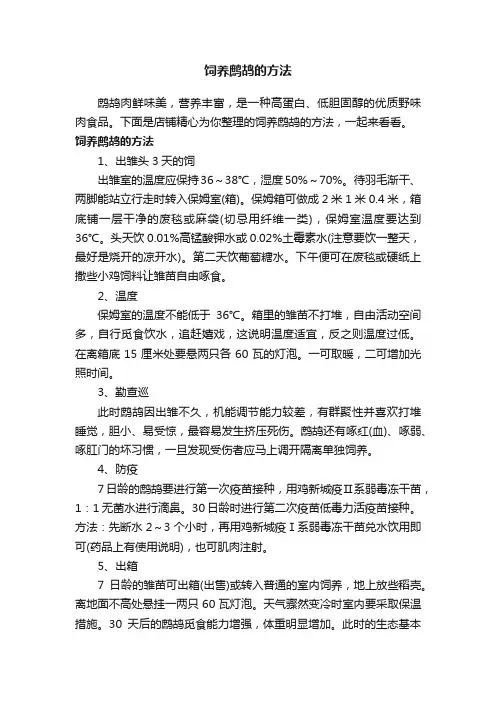 饲养鹧鸪的方法