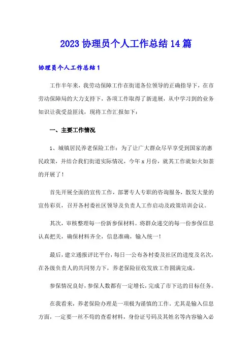 2023协理员个人工作总结14篇