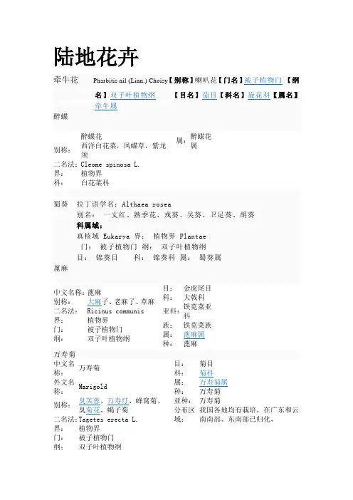 吉林常见陆地花卉