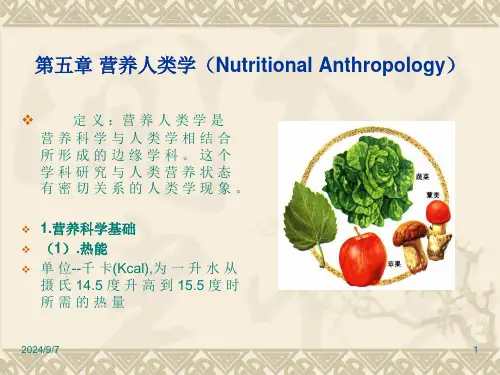 第五章 营养人类学【52页】