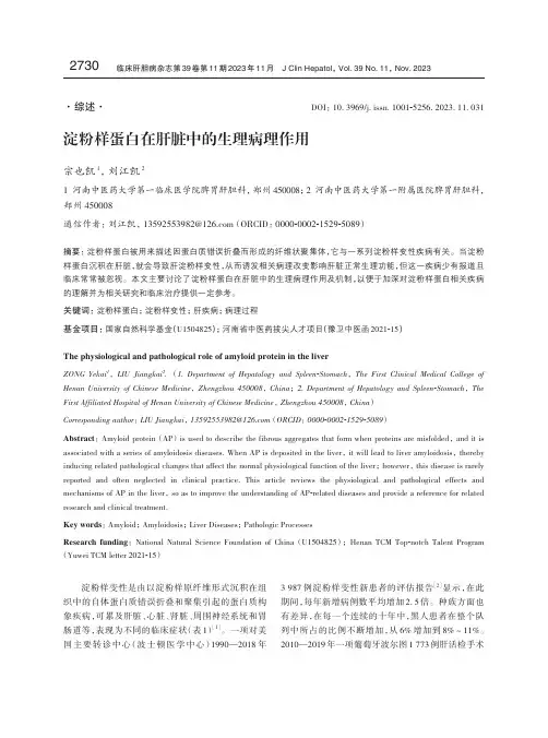 淀粉样蛋白在肝脏中的生理病理作用
