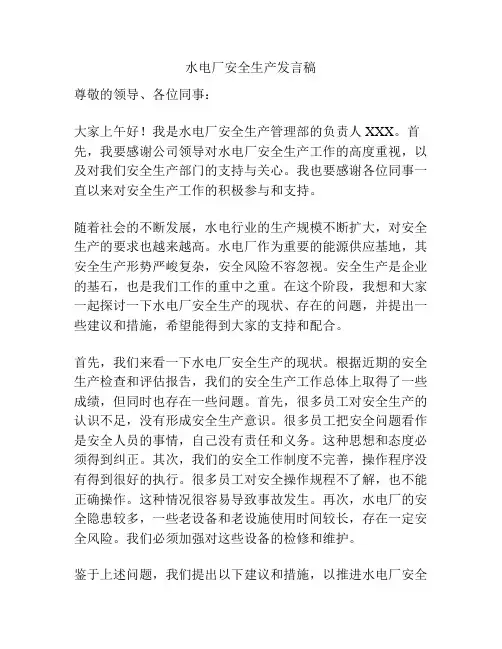 水电厂安全生产发言稿