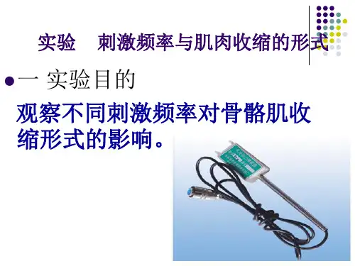 刺激频率与肌肉收缩的形式