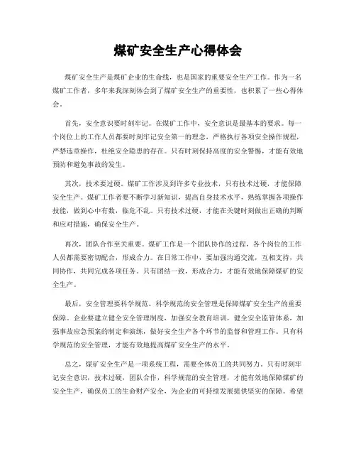 煤矿安全生产心得体会