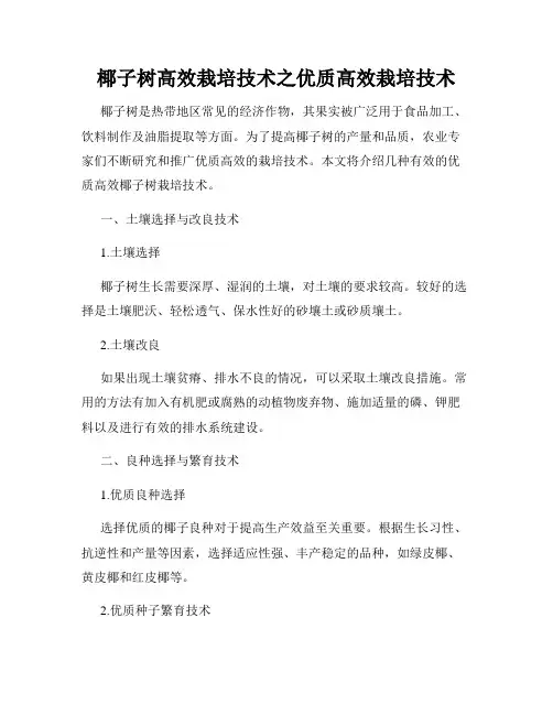 椰子树高效栽培技术之优质高效栽培技术