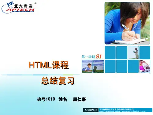 HTML基础总结