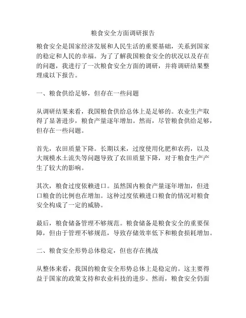 粮食安全方面调研报告