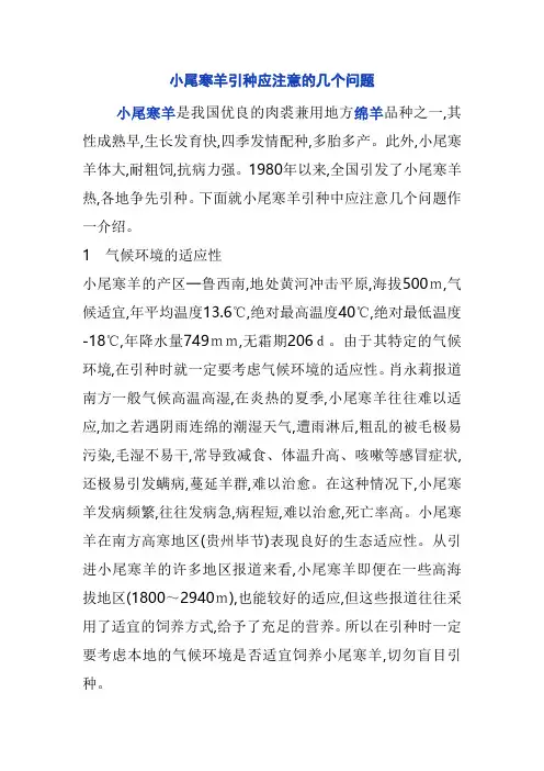 小尾寒羊引种应注意的几个问题