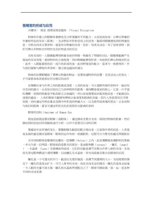 视错觉的形成与应用