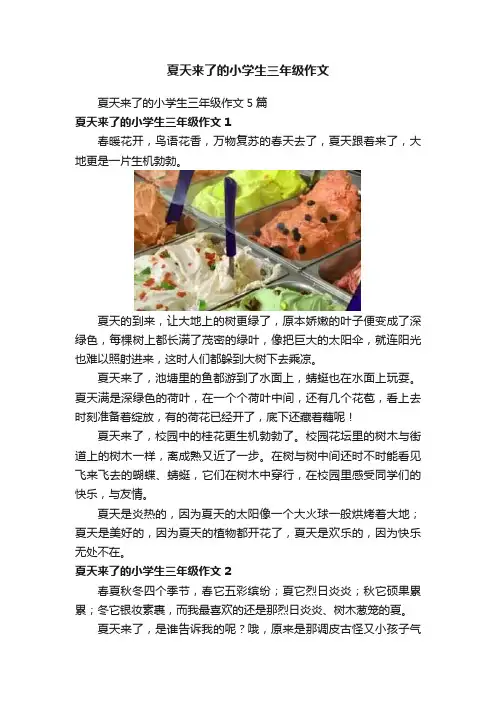 夏天来了的小学生三年级作文