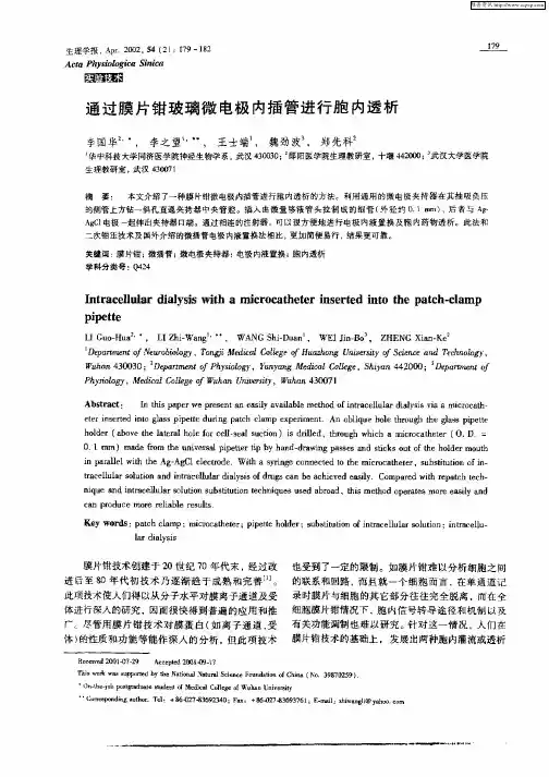 通过膜片钳玻璃微电极内插管进行胞内透析