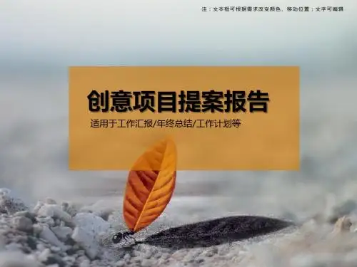 创意项目提案报告PPT模板