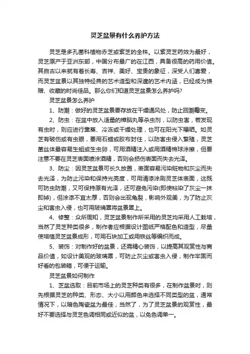灵芝盆景有什么养护方法