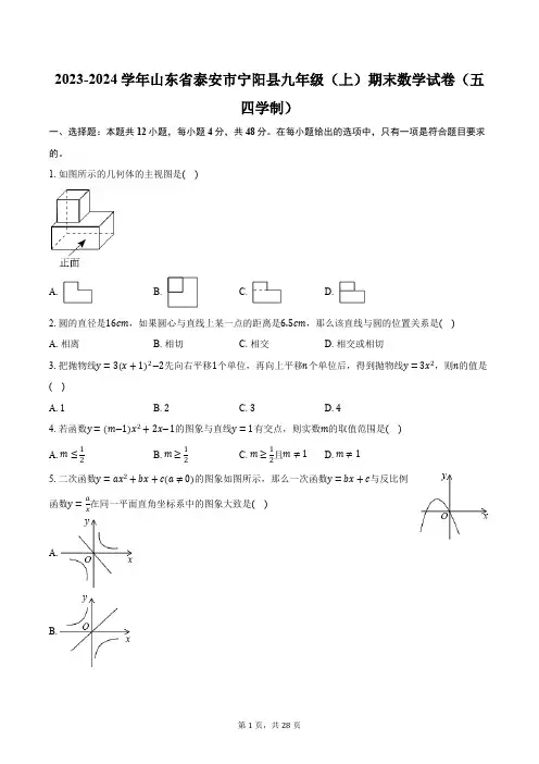2023-2024学年山东省泰安市宁阳县九年级(上)期末数学试卷(五四学制)(含解析)