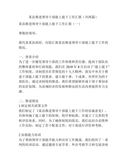 某县推进领导干部能上能下工作汇报(共两篇)