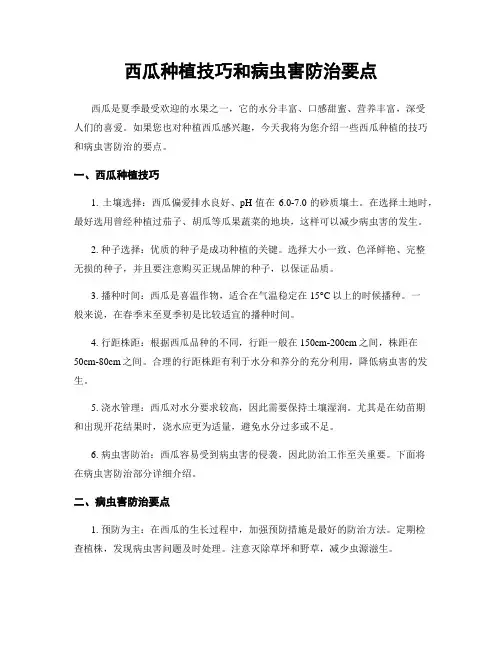 西瓜种植技巧和病虫害防治要点