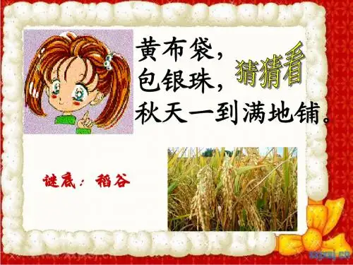 (新)稻作文化的印记(湄公河平原)