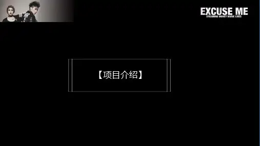 打扰一下组合演出招商方案ppt课件