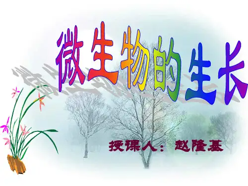 微生物生长复习PPT课件