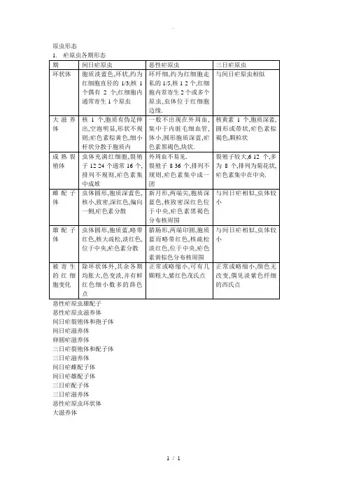 疟原虫形态图谱