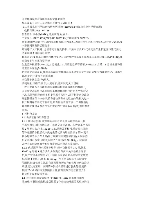 杂交比较,绵羊