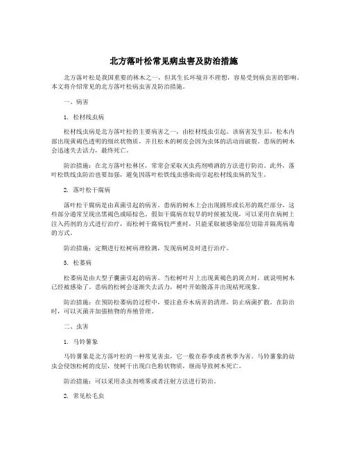北方落叶松常见病虫害及防治措施