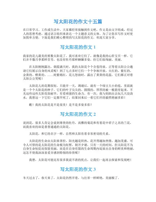 写太阳花的作文十五篇