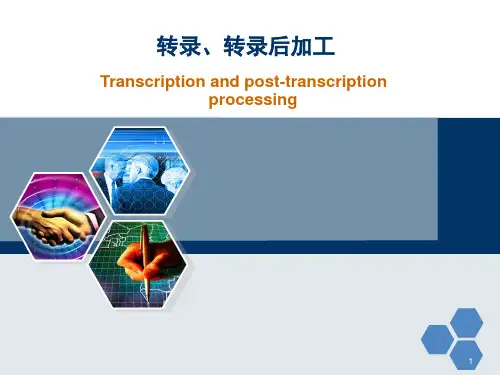 药学分子生物学：第三章 转录、转录后加工