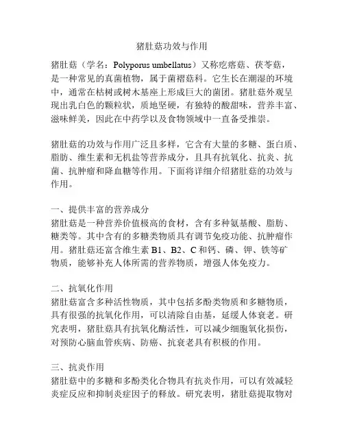 猪肚菇功效与作用