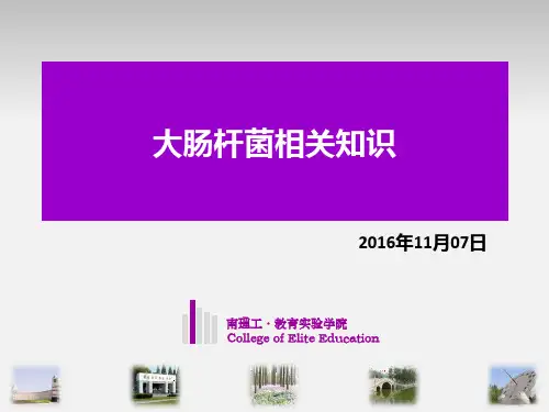 大肠杆菌