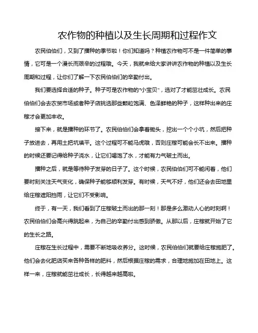 农作物的种植以及生长周期和过程作文