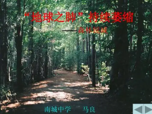第三课“地球之肺”持续萎缩——森林锐减