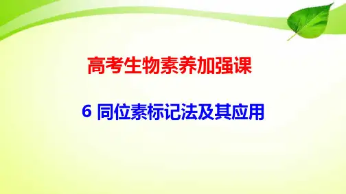 高考生物素养加强课6 同位素标记法及其应用