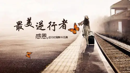 最美逆行者PPT优秀课件