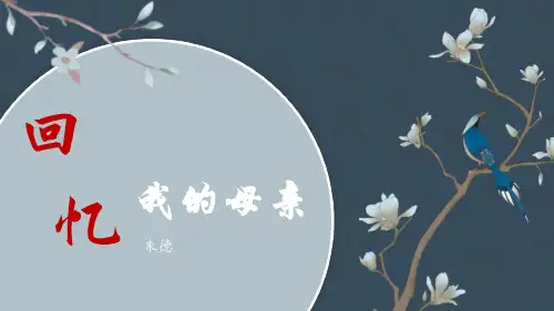 第7课《回忆我的母亲》课件(共29张PPT)语文八年级上册