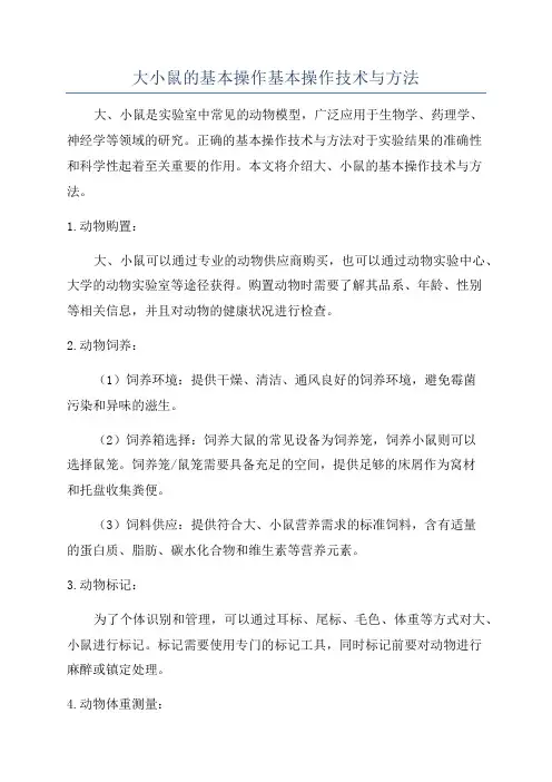 大小鼠的基本操作基本操作技术与方法