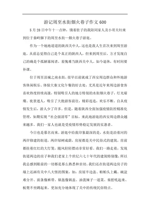 游记周至水街烟火巷子作文600
